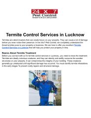 Termite Control Services in Lucknow.pdf